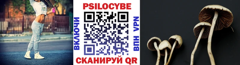 Псилоцибиновые грибы прущие грибы  Курганинск 
